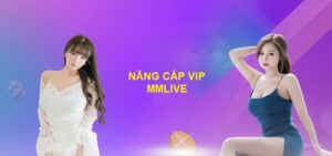 Cách Nâng Cấp VIP MMlive Và Quyền Lợi Dành Cho Người Dùng